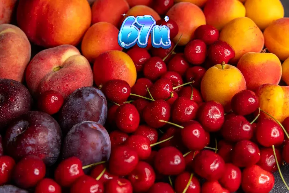 Uma coleção vibrante de símbolos de slots com tema de frutas e elementos de jogos da Amusnet, representando os lançamentos de agosto.